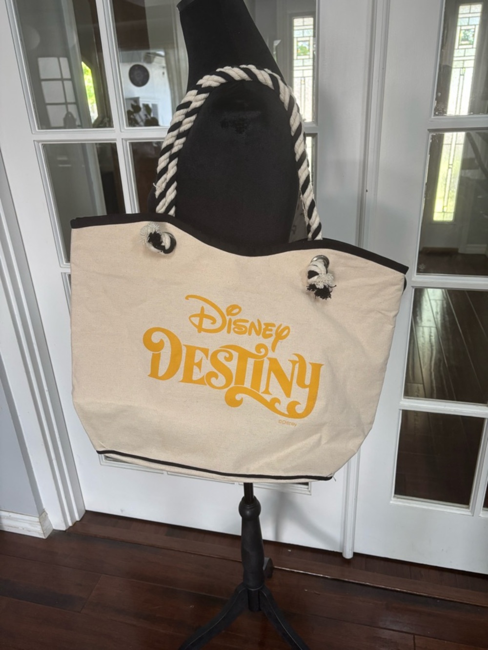 Disney Destiny Beach Bag / tote . Rare find